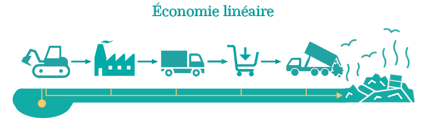 Economie linéaire